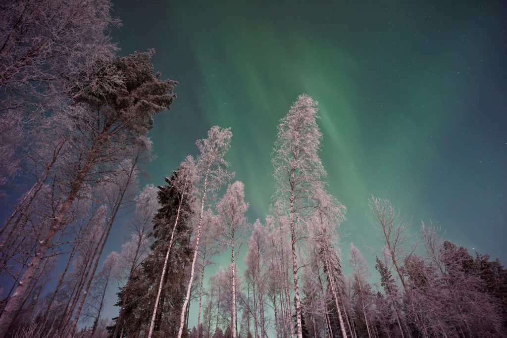 Polarlicht Lapland, Finnland