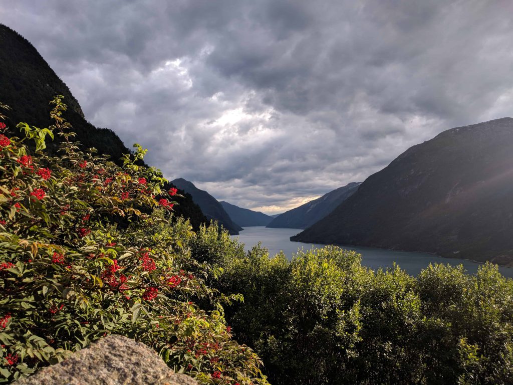 Sognefjord