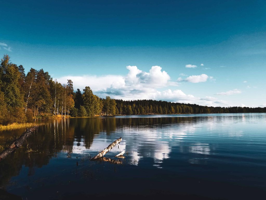 Songsvann Oslo